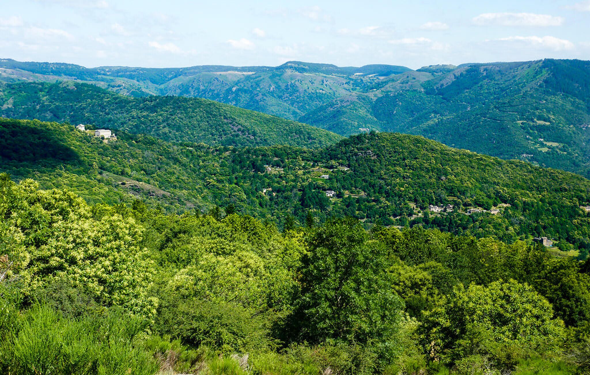 Eine gebirgige Landschaft mit vereinzelten Gebäuden inmitten üppiger Vegetation.