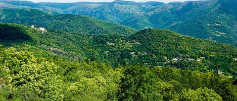 A mountainous landscape with scattered buildings amidst dense greenery.