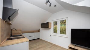 Habitació compacta i moderna amb cuina integrada, televisió i finestra amb vista a vegetació.