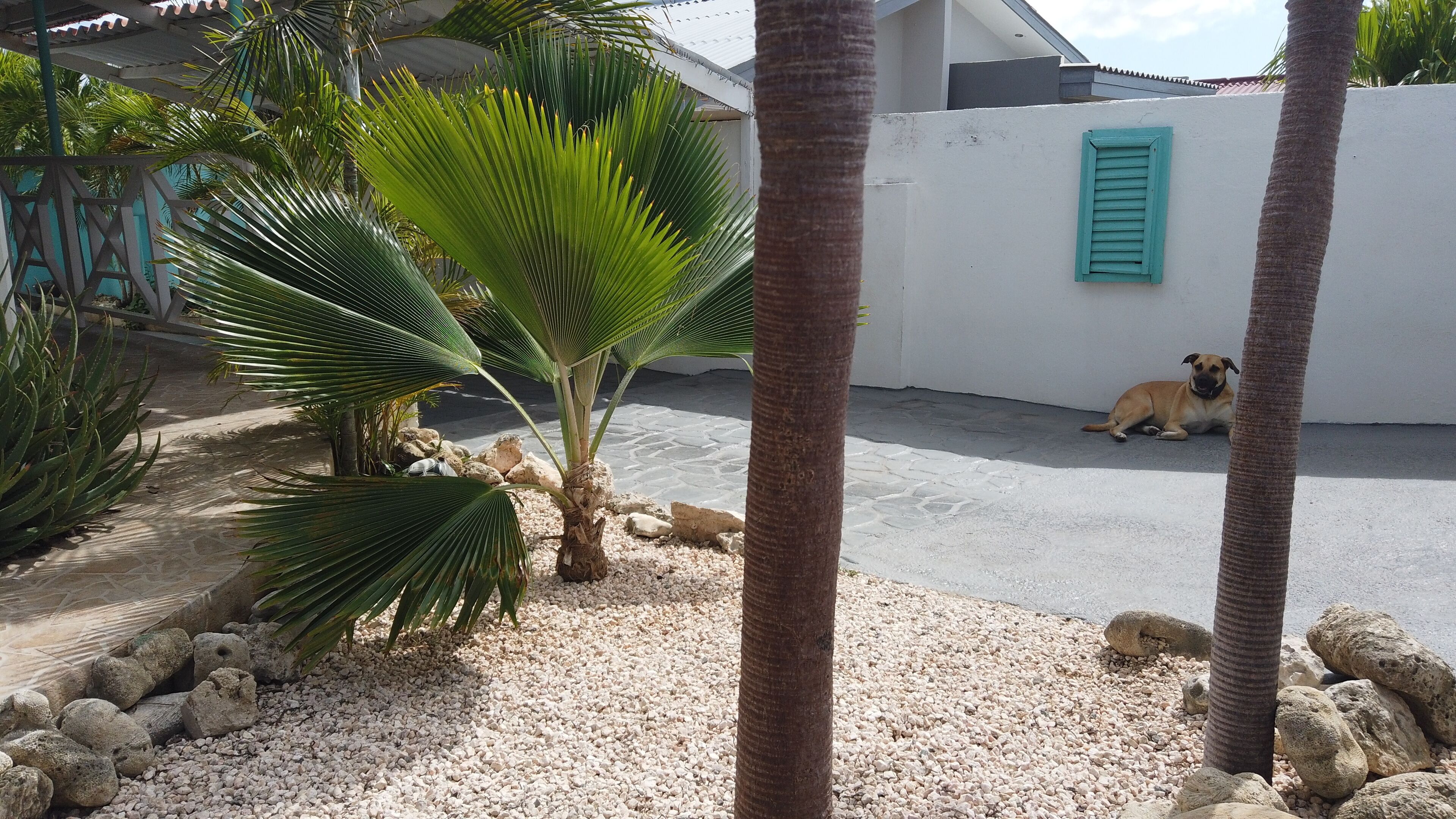 Overnattingsstedets uteområder