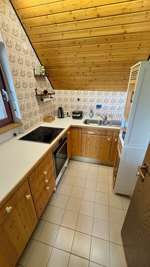 Fridge, microwave, oven, stovetop - Cozy little apartment in the Black Forest - 10 minutes from Schluchsee (Häusern)