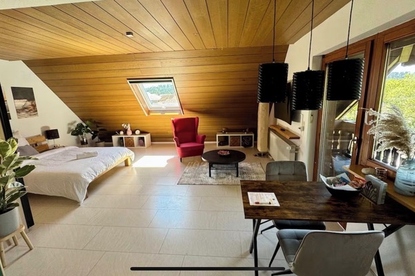 Wohn-, Ess- und Schlafbereich, Sicht aus der Küche