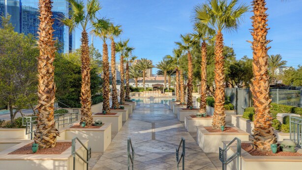 A pathway lined with palm trees leading to a pool area, with modern buildings in the background. - The Rose Premium Suite at MGM Signature (Las Vegas)