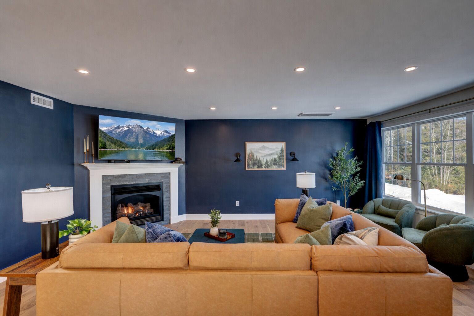 Smart TV, fireplace, video games, books