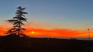 A sunset with a silhouette of a tree and a distant view of a body of water. - Villa Uma with Private Jacuzzi and Secure Parking - 5 Minutes from the Sea (Puglia)