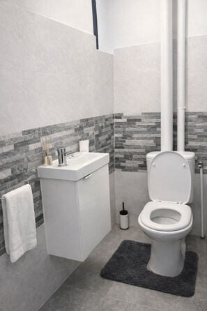 Regadera, secadora de cabello, bidet, toallas 