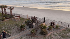 Une vue sur la plage avec un sentier, des palmiers et une clôture.