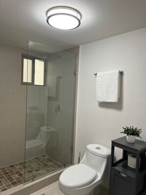 Hair dryer, towels, soap, toilet paper