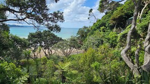 A lush, green landscape with a beach and ocean view. - Beachfront Property in Private Bay with only 12 houses and private beach access. (Matapouri)