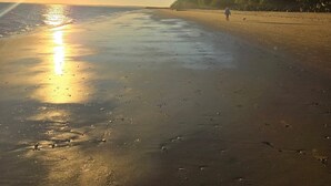 Une plage au coucher du soleil, avec une eau calme, et une personne promenant un chien.