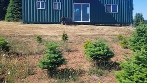 Un bâtiment de couleur verte, de type conteneur, doté d’une porte et de fenêtres, entouré d’une zone herbeuse avec de petits arbres et des fleurs jaunes.
