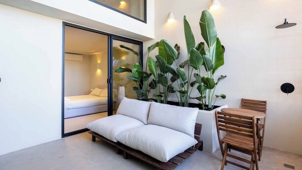 Quarto moderno com cama, sofá, mesa de jantar e plantas verdes grandes.