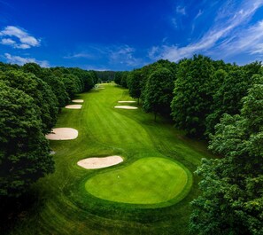 Golf - Luxurious 6-bedroom cabin with sauna and game den in Gaylord (Gaylord)