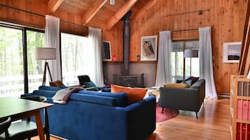 Smart TV, chimenea, libros, estéreo