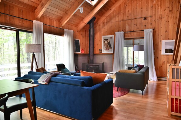 Smart TV, fireplace, books, stereo