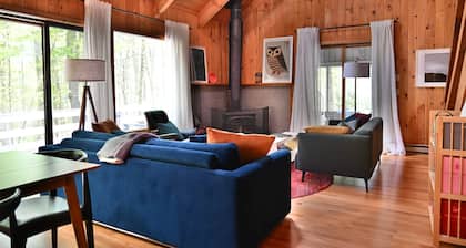Family Cabin w/ Climbing Wall, Games. Near Great Barrington, Butternut, Lakes