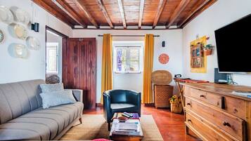 Een televisie en een open haard