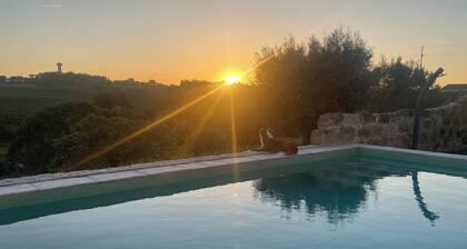 Quinta do Espinhal, Countryside Retreat and Pool
