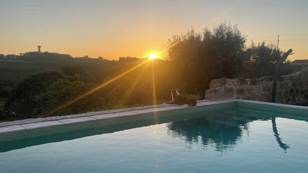 En swimmingpool med solnedgang i baggrunden.