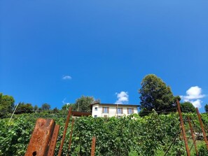 Miscellaneous - Agriturismo Cascina Teresina (Lombardia)