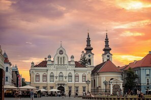 Point of interest - 1st Nest in Heart of Timisoara (Timisoara)
