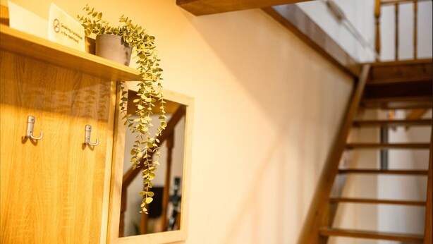 A wooden cabinet with hooks, a small potted plant, and a framed mirror. - 1st Nest in Heart of Timisoara (Timisoara)