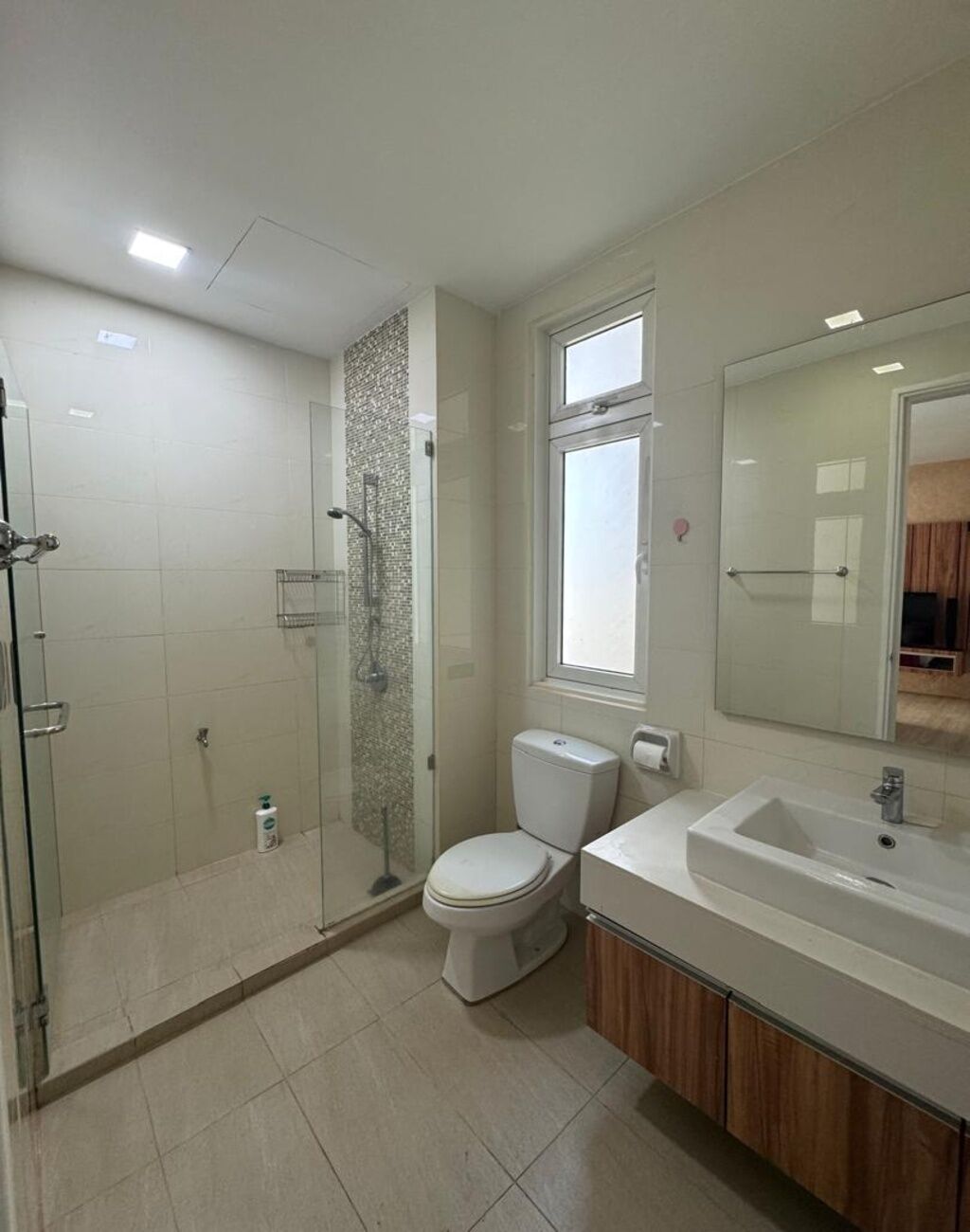 Ducha, secador de pelo, toallas, jabón