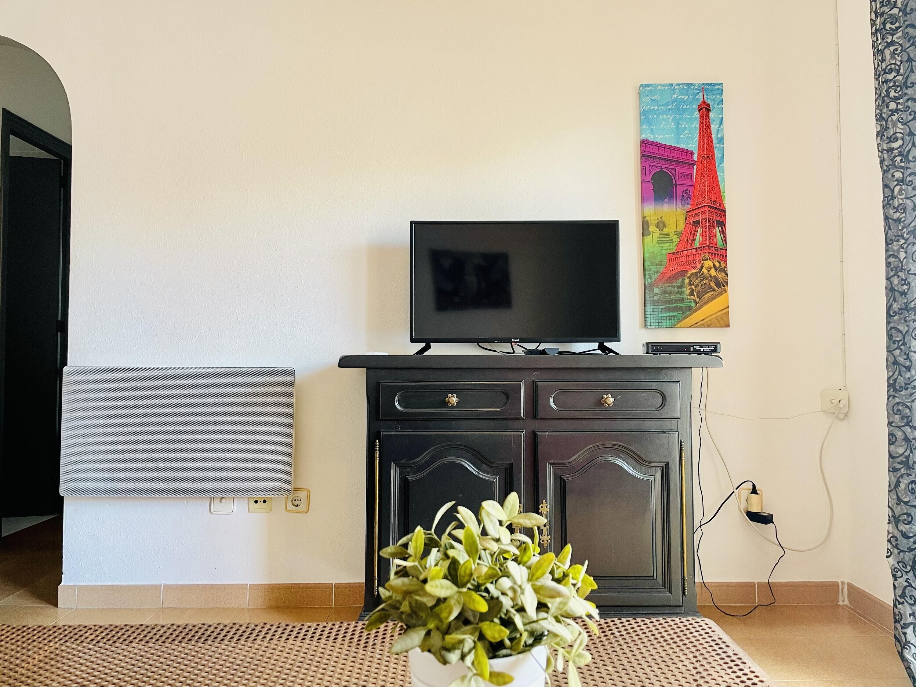 A living room with a TV on a cabinet, a radiator, a potted plant, and a painting of the Eiffel Tower.