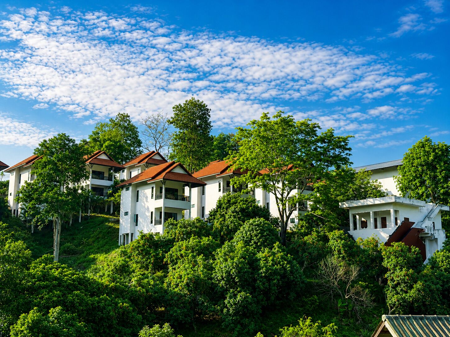 A cluster of white buildings with red roofs, surrounded by lush greenery and trees.