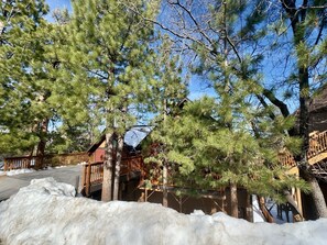 Property grounds - Altitude Adjustment - Pool Table, Ping Pong, Fireplace, Forest Views (Big Bear City)