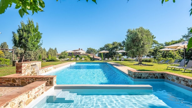 Ein rechteckiger Pool mit Steinpodest, umgeben von einer Rasenfläche mit Bäumen und Liegestühlen.
