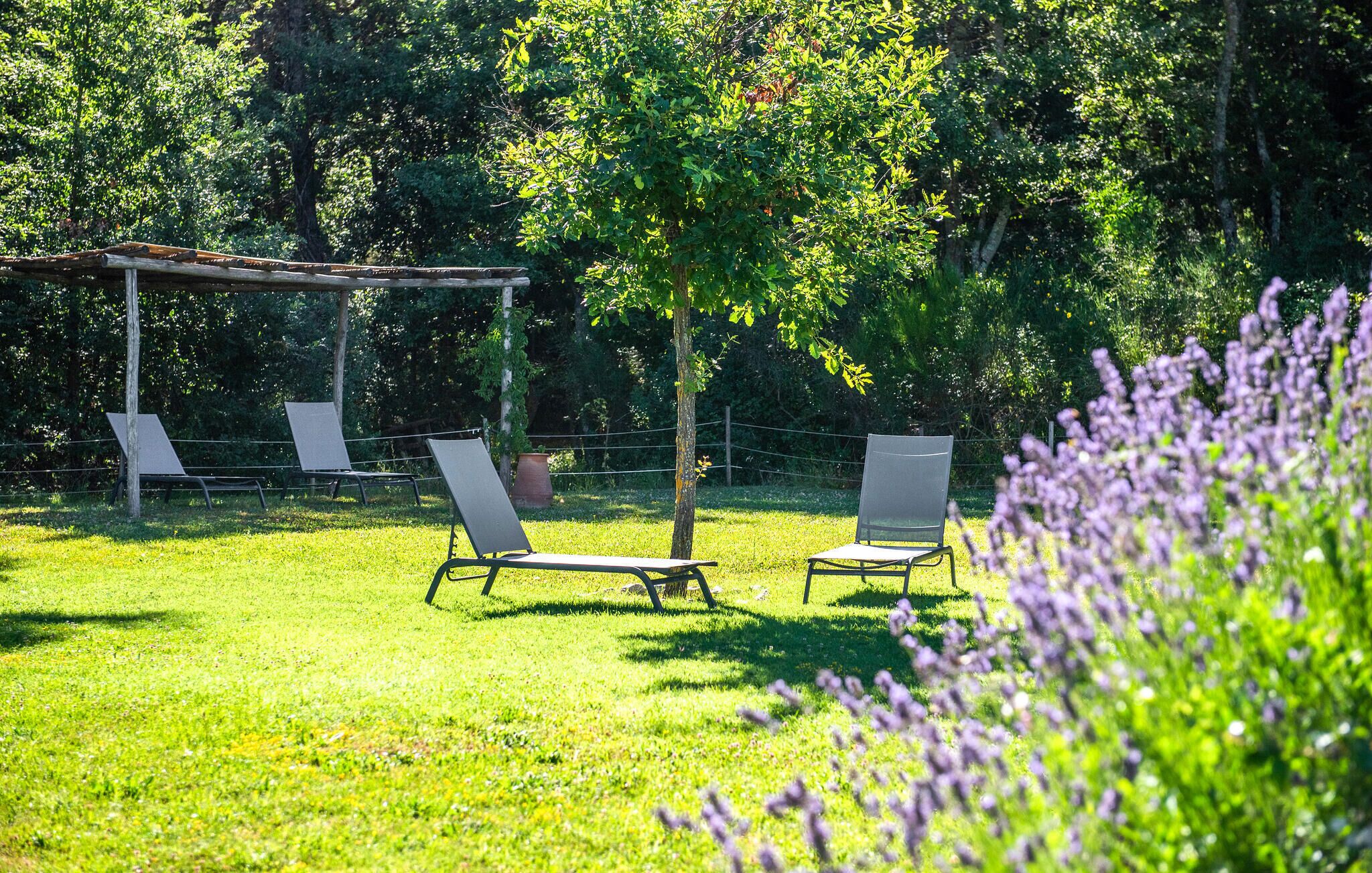 Ein grünes Freigelände mit drei Metallstühlen und einer Holzpergola.
