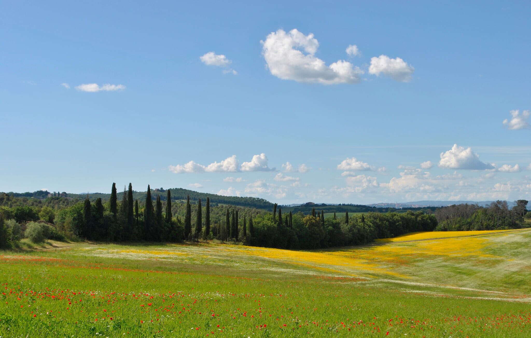 A rural landscape with a clear sky, green fields, and a distant hill.