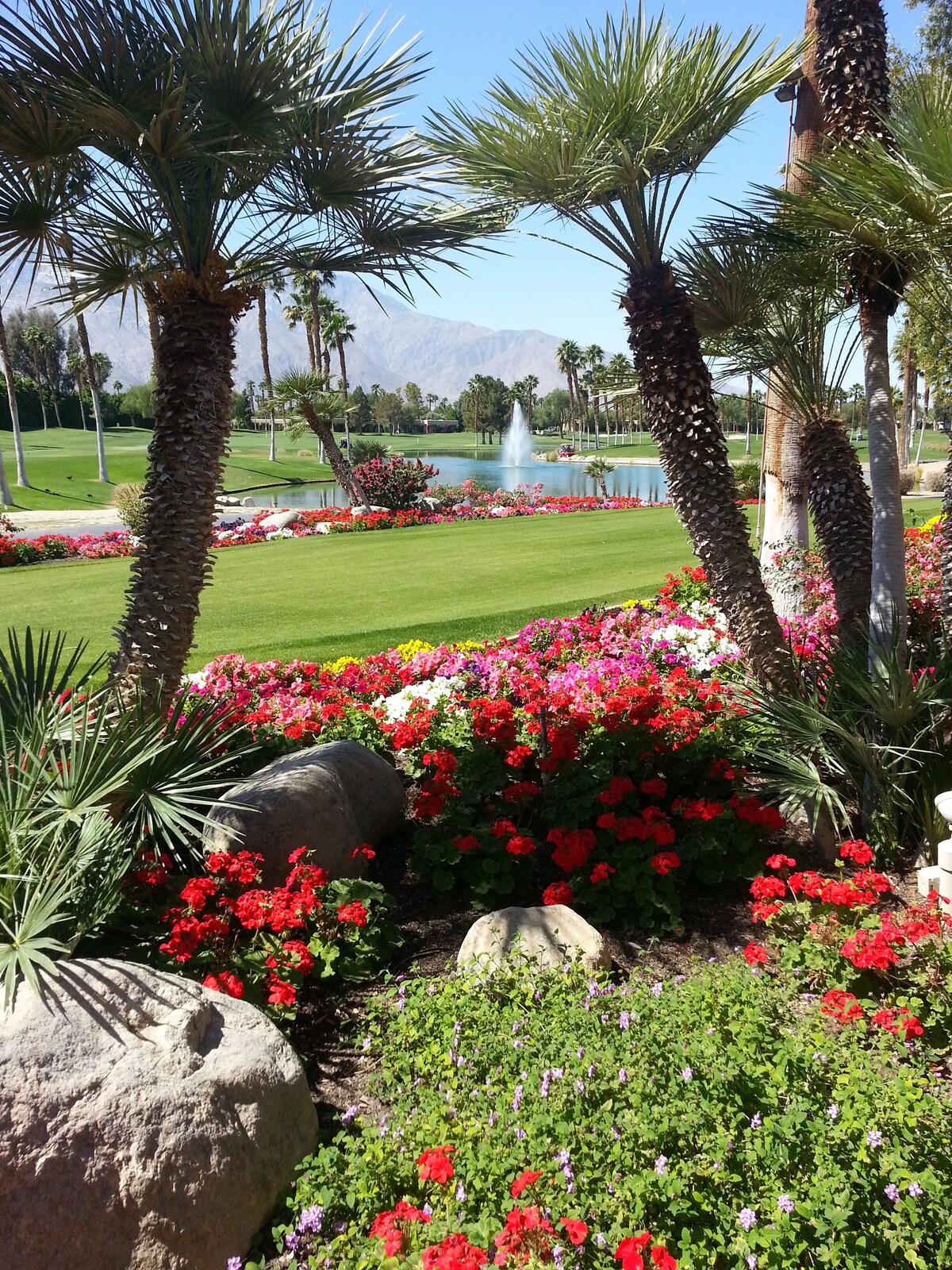 オーナーのプロフィール画像