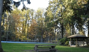 Sports court - FIFA World Cup Stay - Home w River Tubing & Pool (Coquitlam)