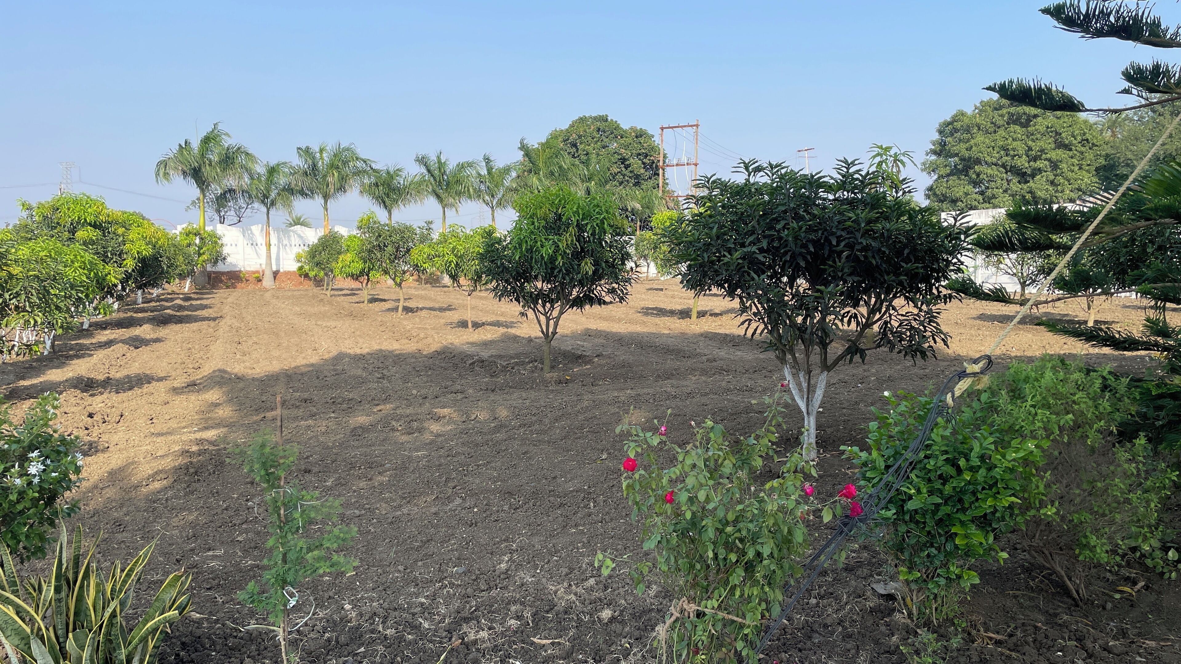 Parco della struttura