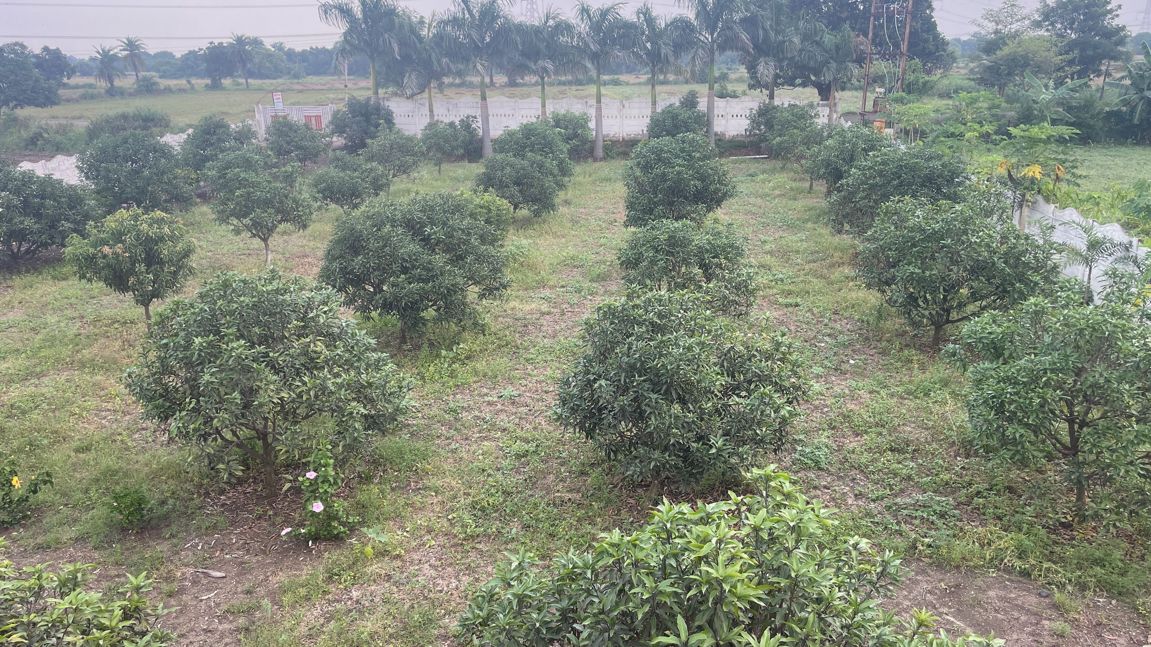 Overnattingsstedets uteområder