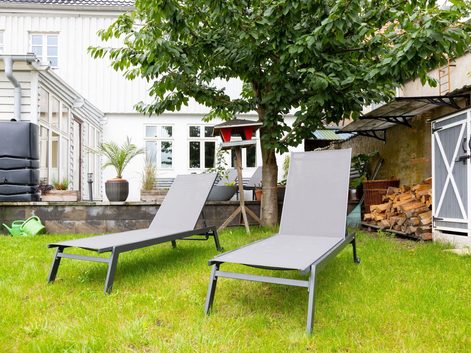 Two grey lounge chairs in a grassy backyard with a tree, a white building, and a stack of firewood.