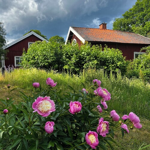 Traditionelles Landhaus mit neuer Küche und großem Garten – Hunde willkommen