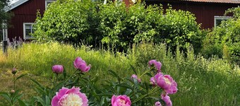 Peace and nature - country house with new kitchen and large garden