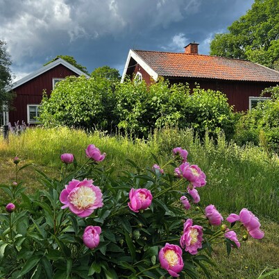Peace and nature - country house with new kitchen and large garden