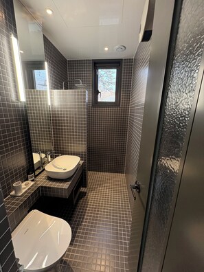 Premium Double or Twin Room, Mountain View | Bathroom