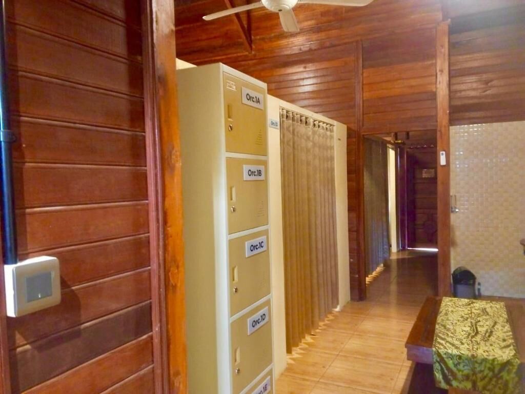 Basic Single Room, Patio, Courtyard View | Interior