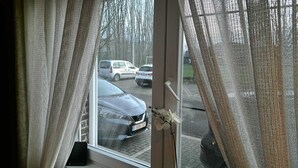 Uitzicht door een raam met dunne gordijnen, waarop geparkeerde auto's en een betegeld voetpad te zien zijn.
