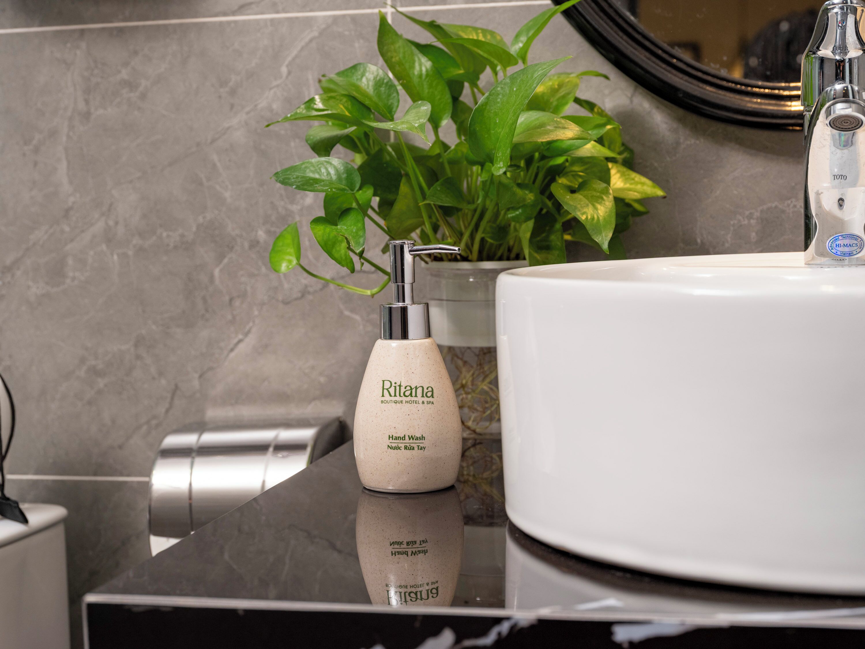 Une salle de bain avec un lavabo blanc, un distributeur de savon liquide, une plante en pot et un miroir.