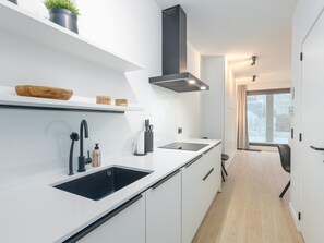 Fridge, microwave, oven, dishwasher - Newly built studio on 1st floor with terrace (Middelkerke)