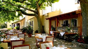 Comedor al aire libre con mesas dispuestas para dos, rodeado de plantas en macetas y un muro de piedra.