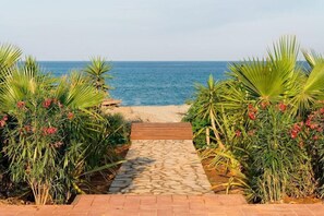 A pathway leading to a beach with palm trees and red flowers on either side. - Residence Sognu Di Rena (San-Nicolao)