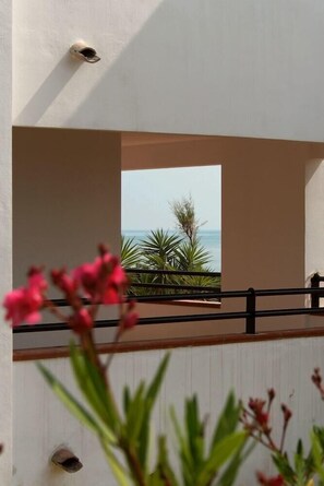 Property grounds - Residence Sognu Di Rena (San-Nicolao)