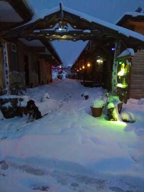 Àrea exterior de l'allotjament